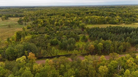 Vacant Land For Sale - 84227 Denham Road<br/> Sturgeon Lake, MN 55795