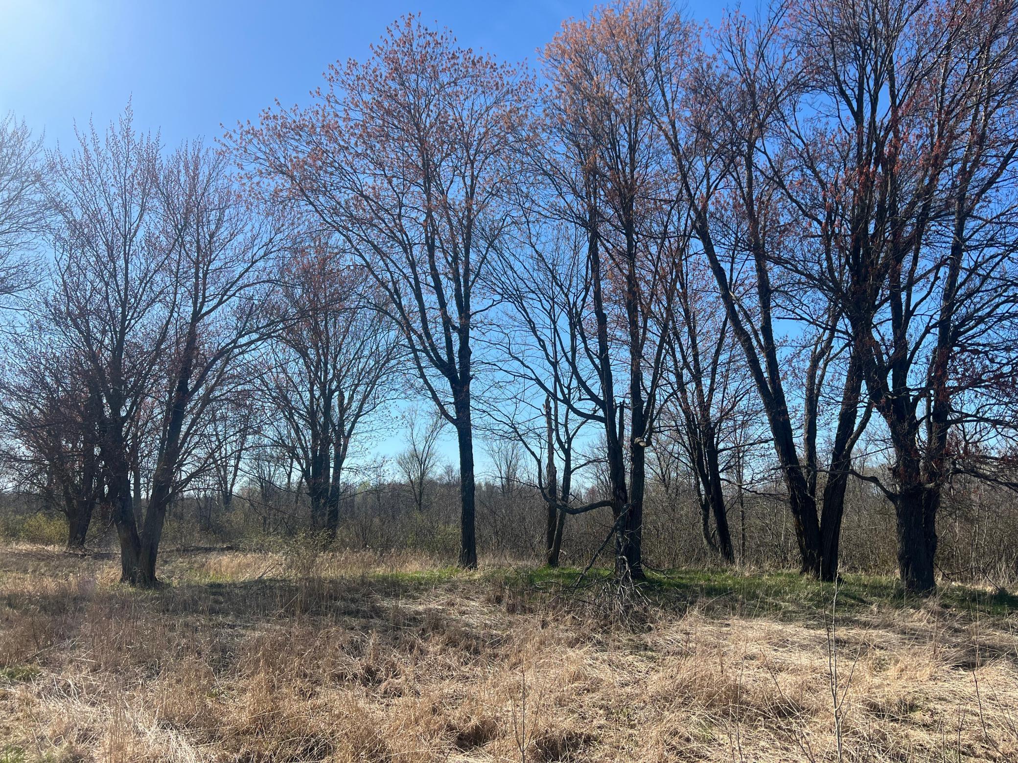 TBD County Road 19, Kettle River, Minnesota image 1