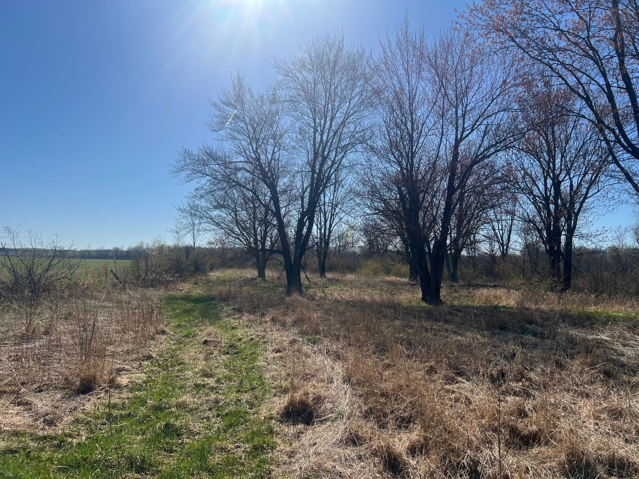 TBD County Road 19, Kettle River, Minnesota image 17