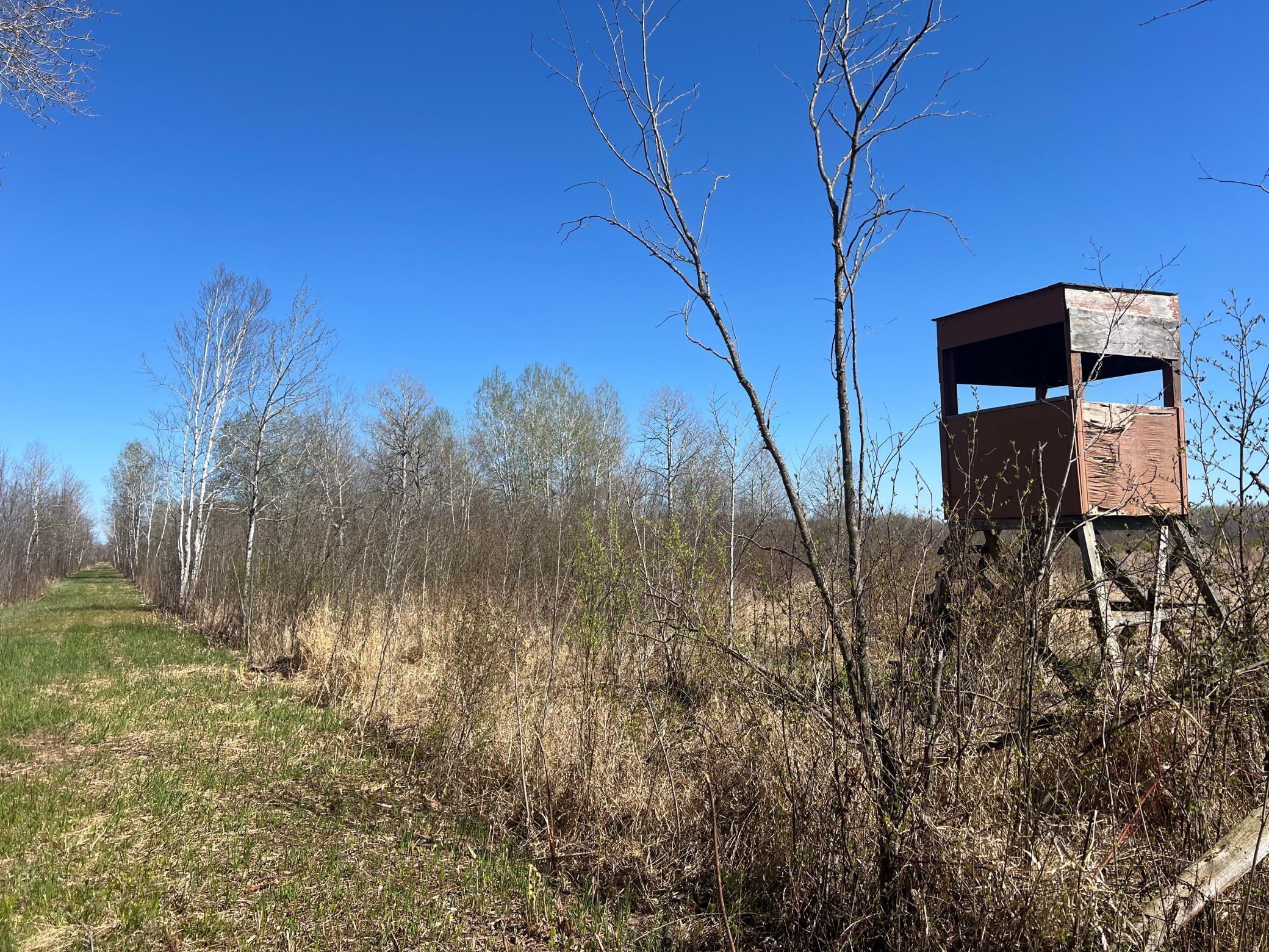 TBD County Road 19, Kettle River, Minnesota image 3