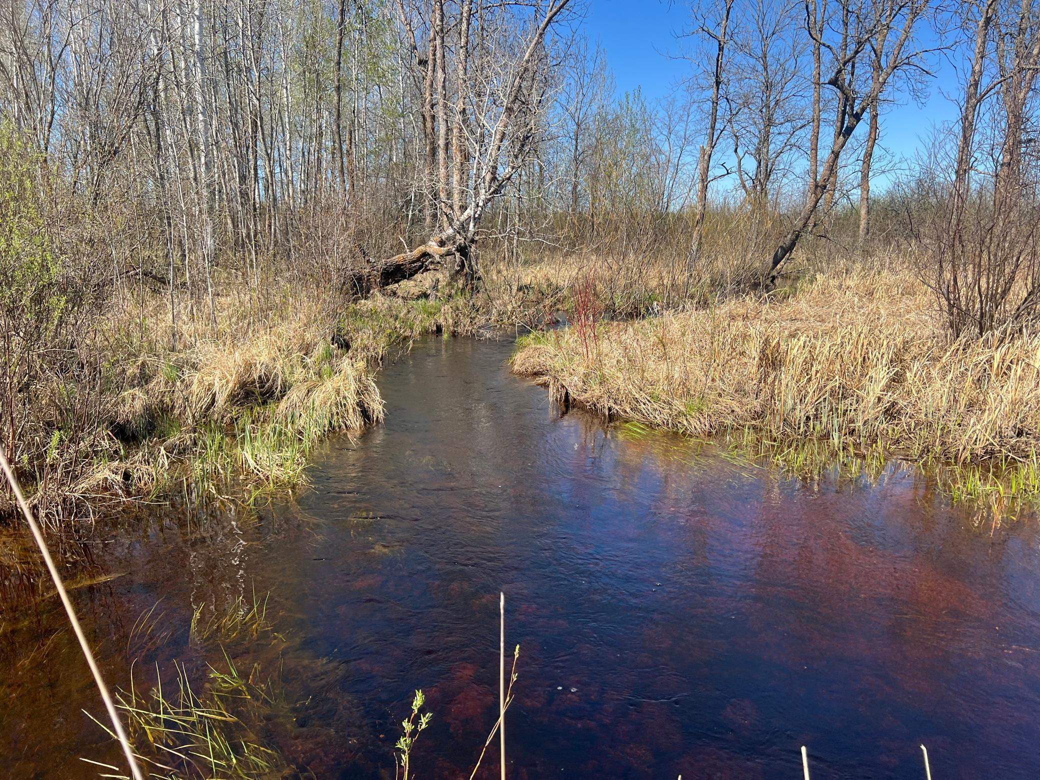 TBD County Road 19, Kettle River, Minnesota image 8