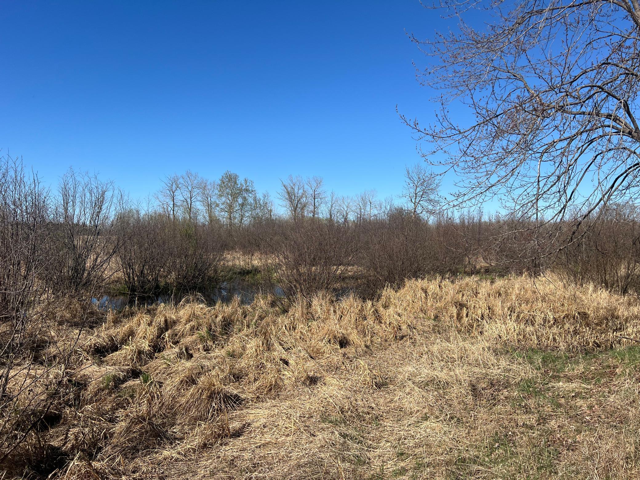 TBD County Road 19, Kettle River, Minnesota image 6