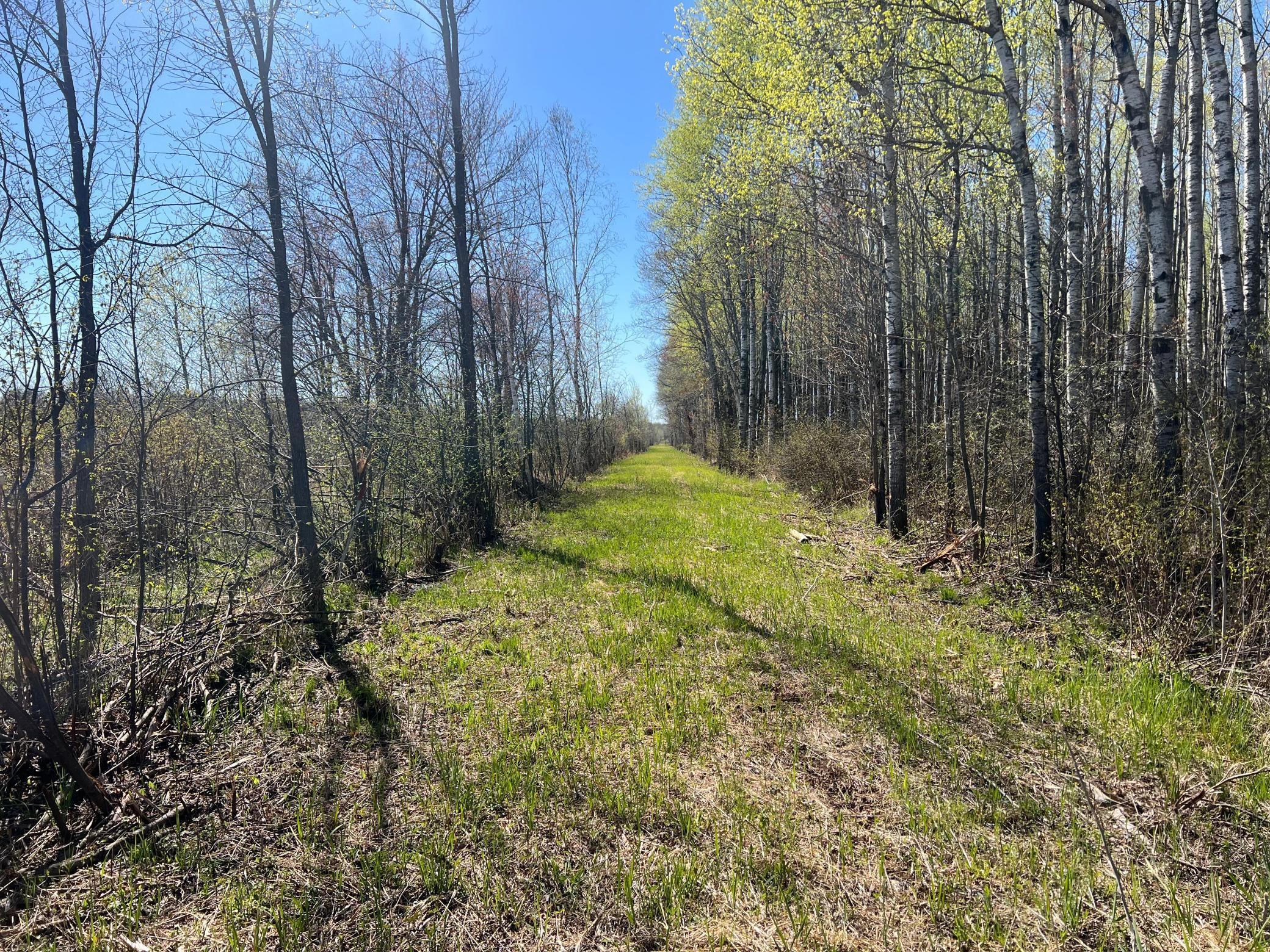 TBD County Road 19, Kettle River, Minnesota image 26