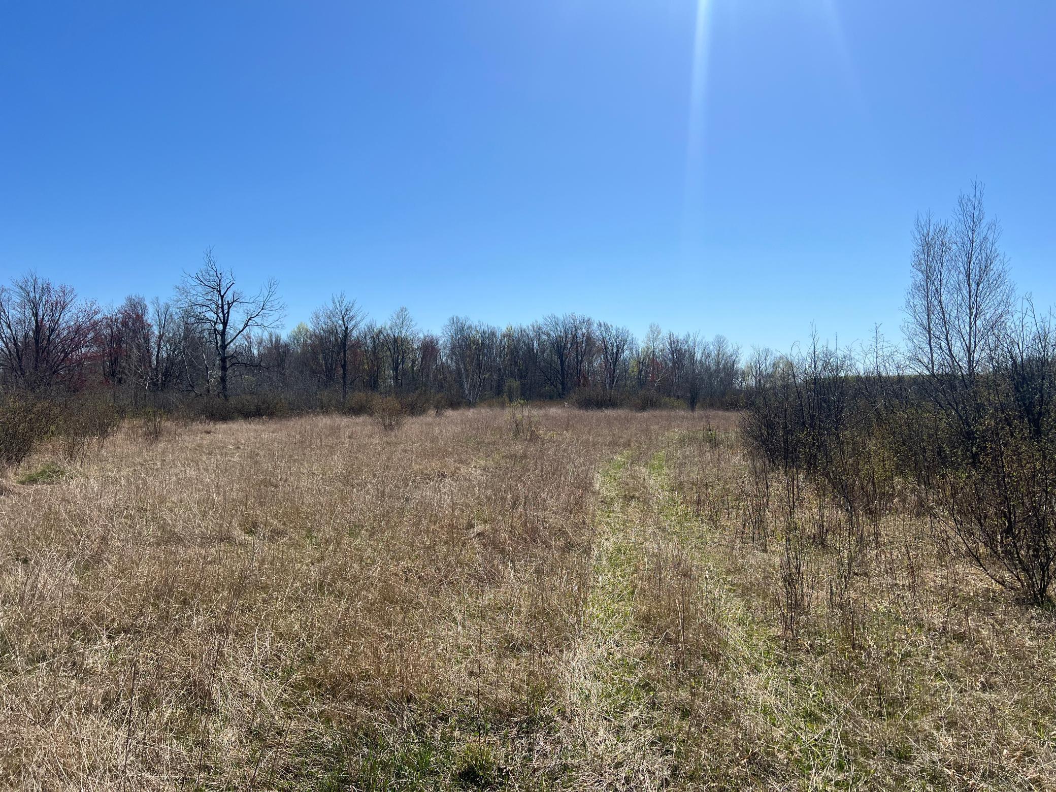 TBD County Road 19, Kettle River, Minnesota image 32