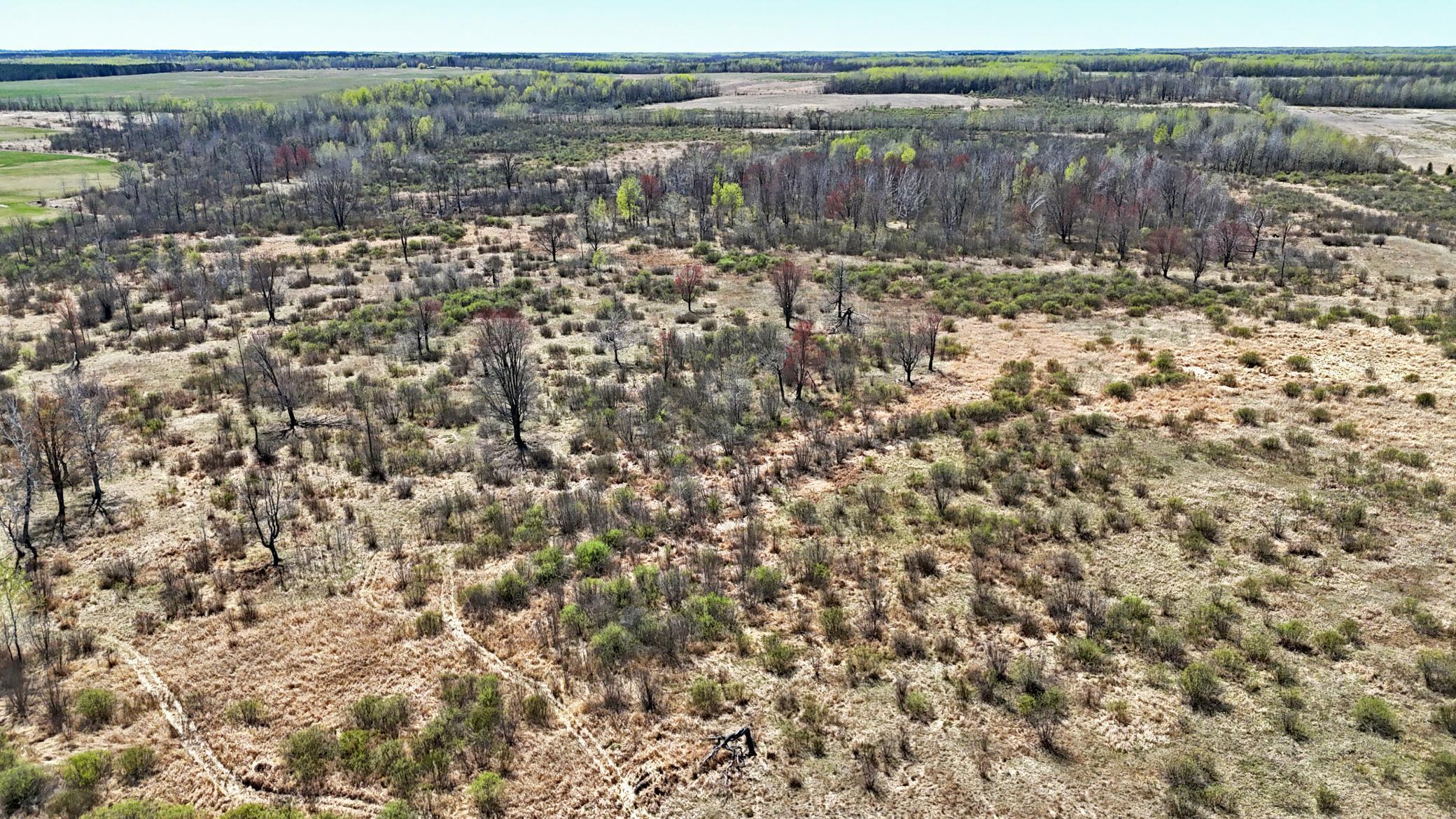 TBD County Road 19, Kettle River, Minnesota image 15