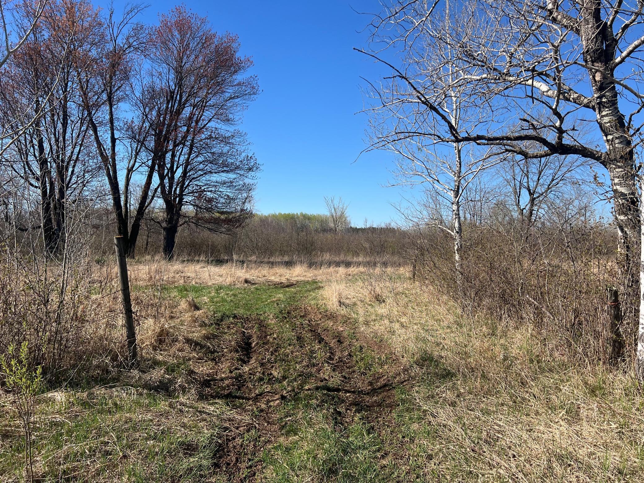 TBD County Road 19, Kettle River, Minnesota image 20