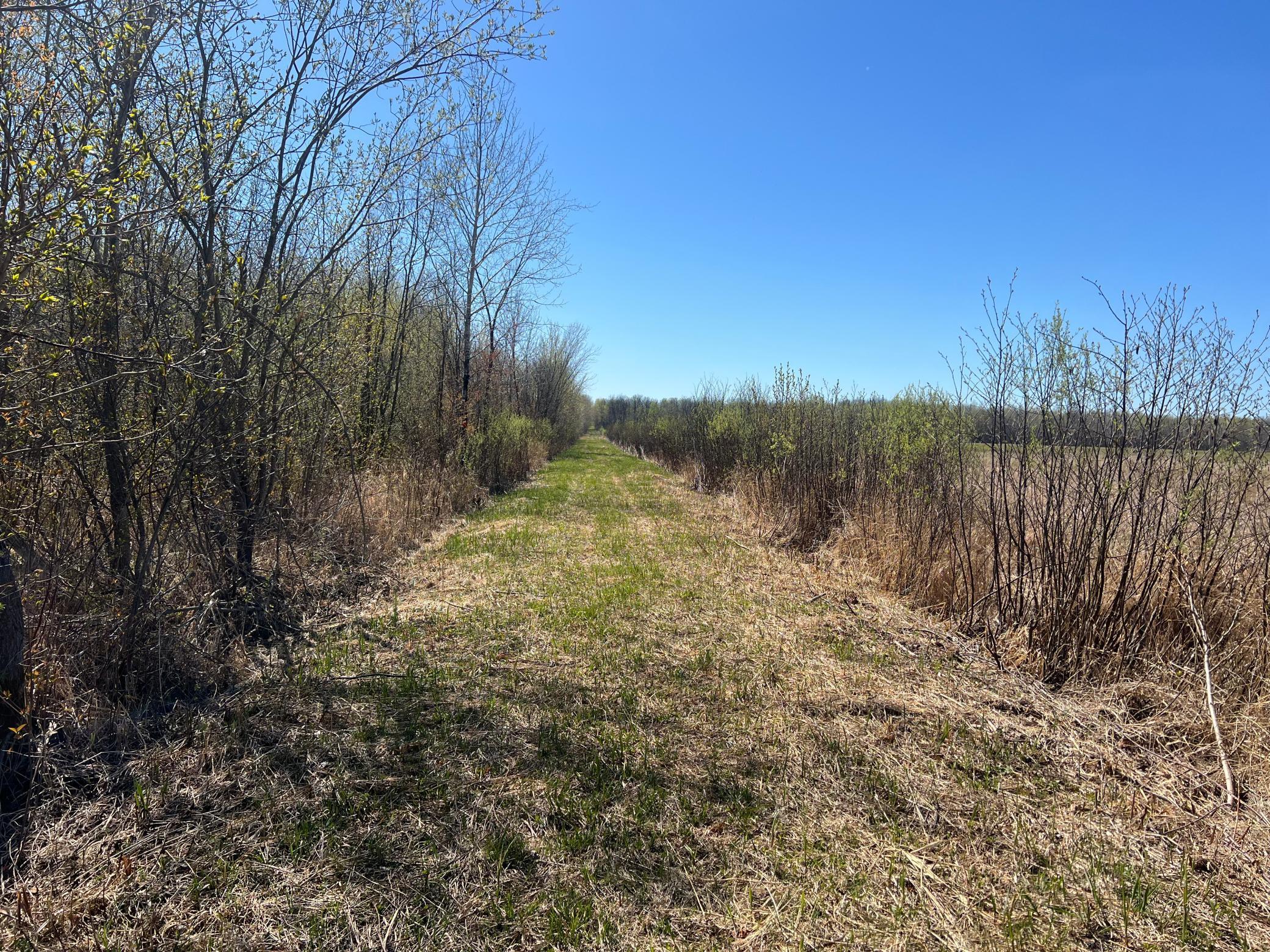 TBD County Road 19, Kettle River, Minnesota image 10