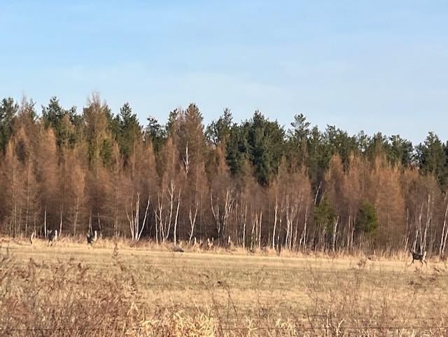Lot 4 Bl 2 Hawthorn Road, Hinckley, Minnesota image 11