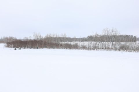 Vacant Land For Sale - TBD Tasha Drive<br/> Douglas County, Garfield, MN 56332