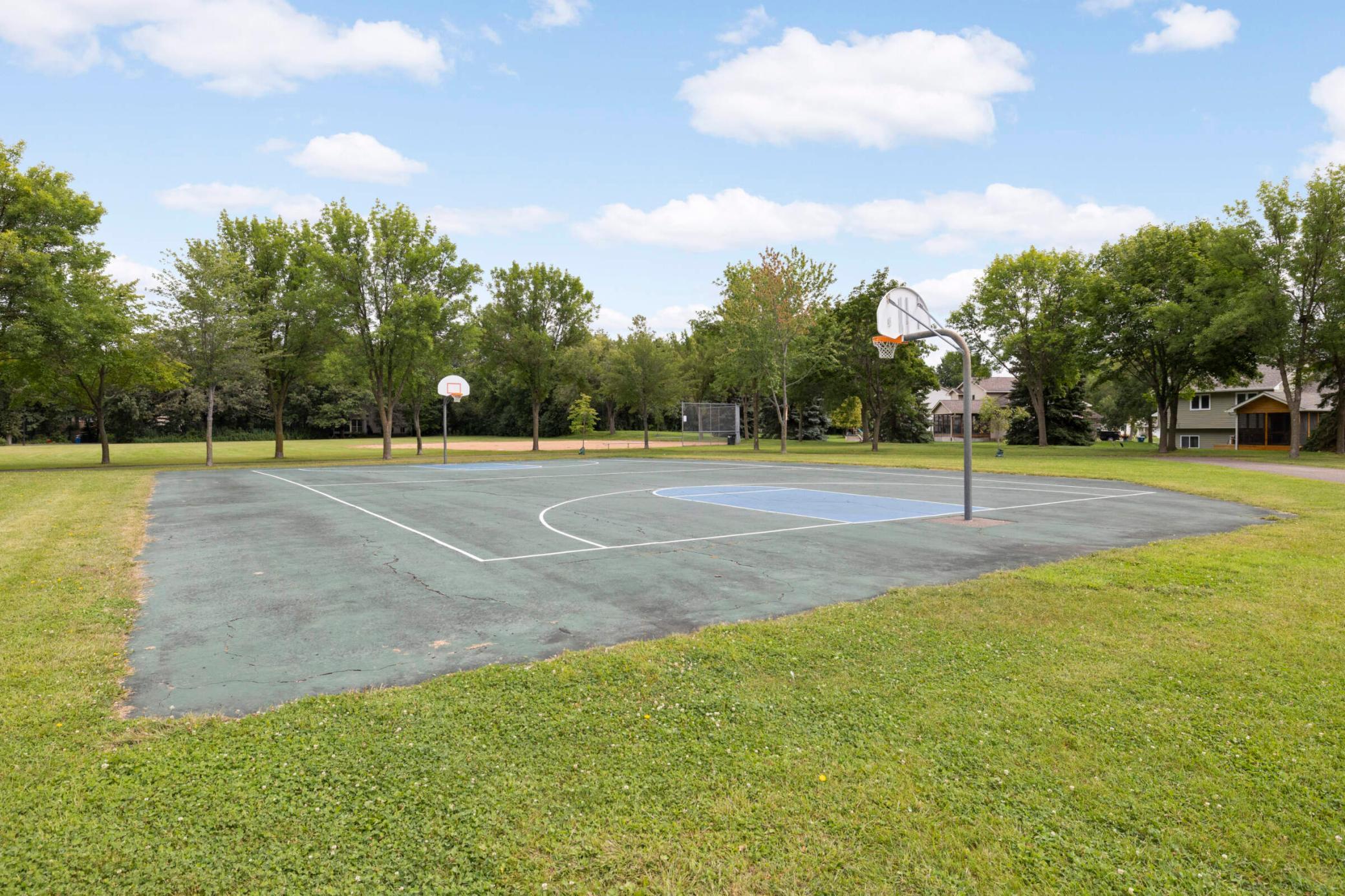 11771 Emery Village Drive, Champlin, Minnesota image 31