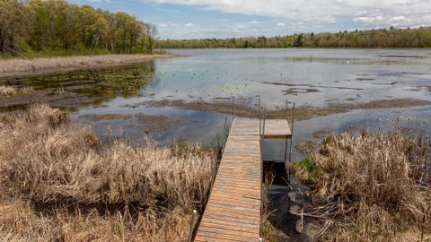 Vacant Land For Sale - TBD County Road 3<br/> Merrifield, MN 56465
