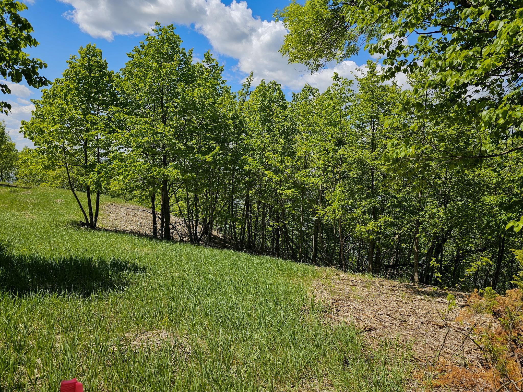 340XX 452nd St [a4], Vergas, Minnesota image 12