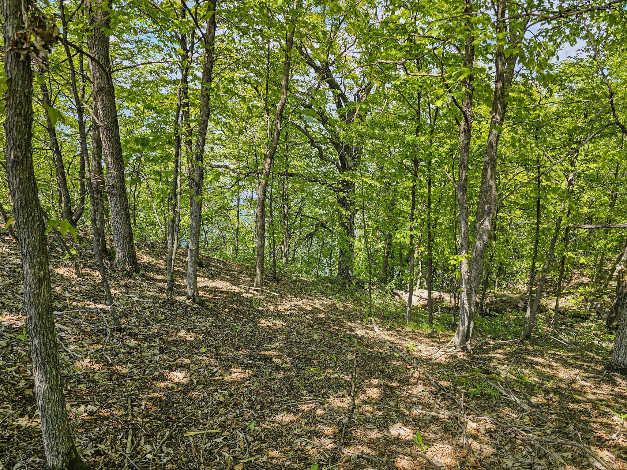 340XX 452nd St [a4], Vergas, Minnesota image 13