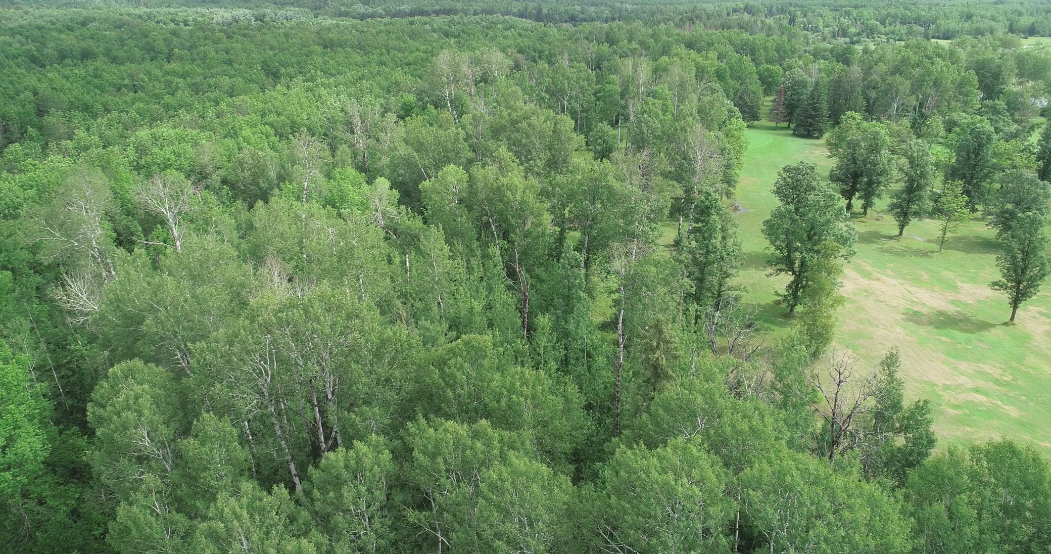 Lot 4 Eagle Drive, Bigfork, Minnesota image 3