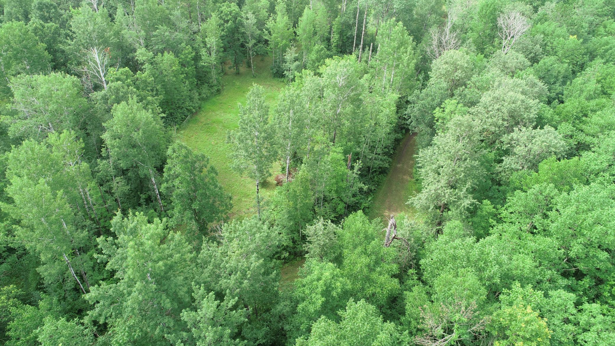 Lot 4 Eagle Drive, Bigfork, Minnesota image 11