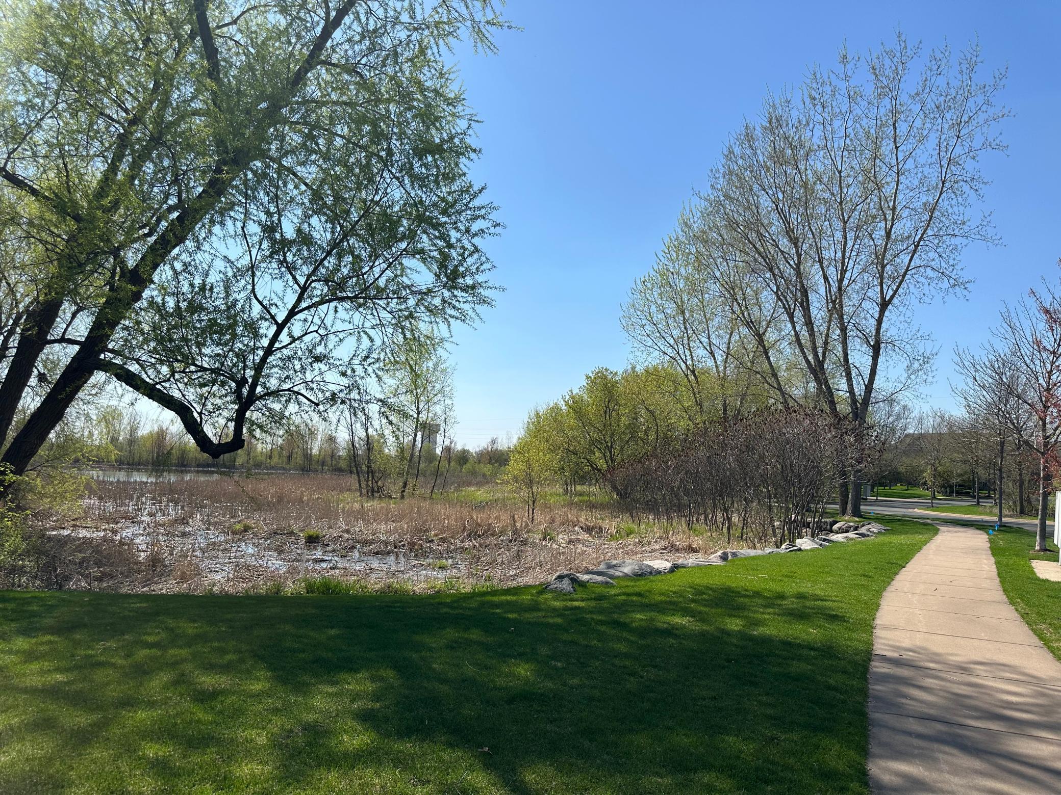 4553 Victor Path #1, Hugo, Minnesota image 35