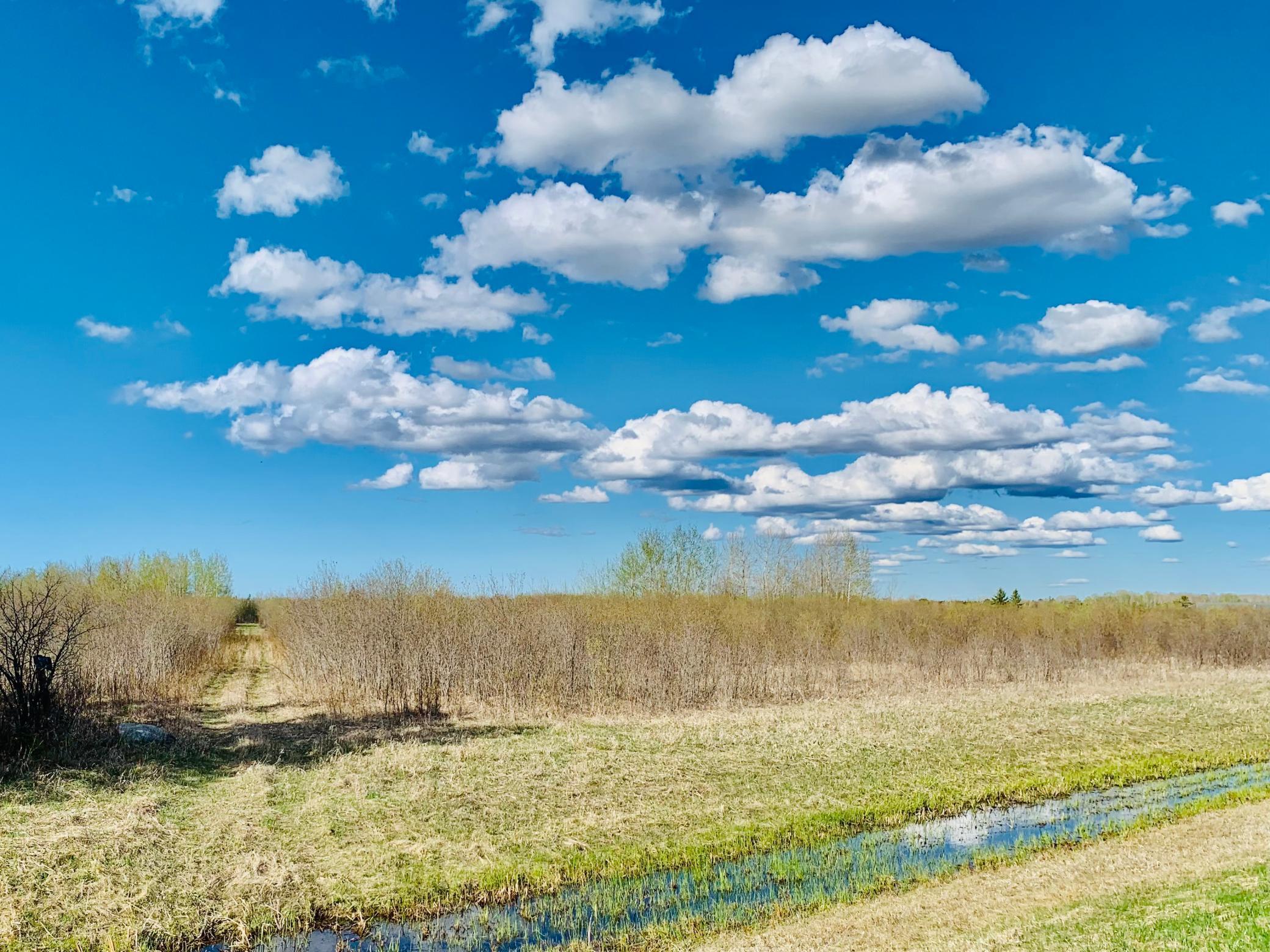 TBD Cr-1, Baudette, Minnesota image 16