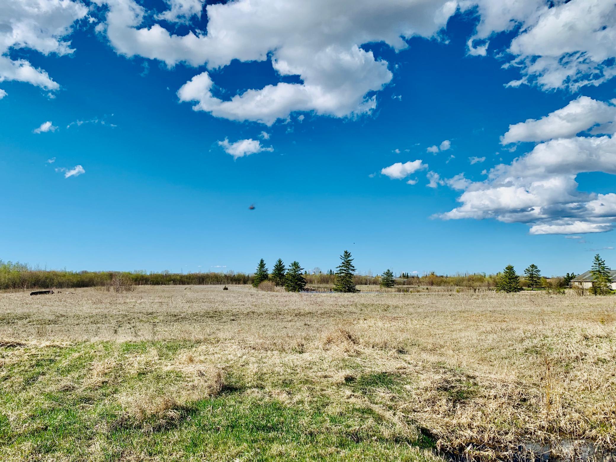 TBD Cr-1, Baudette, Minnesota image 3