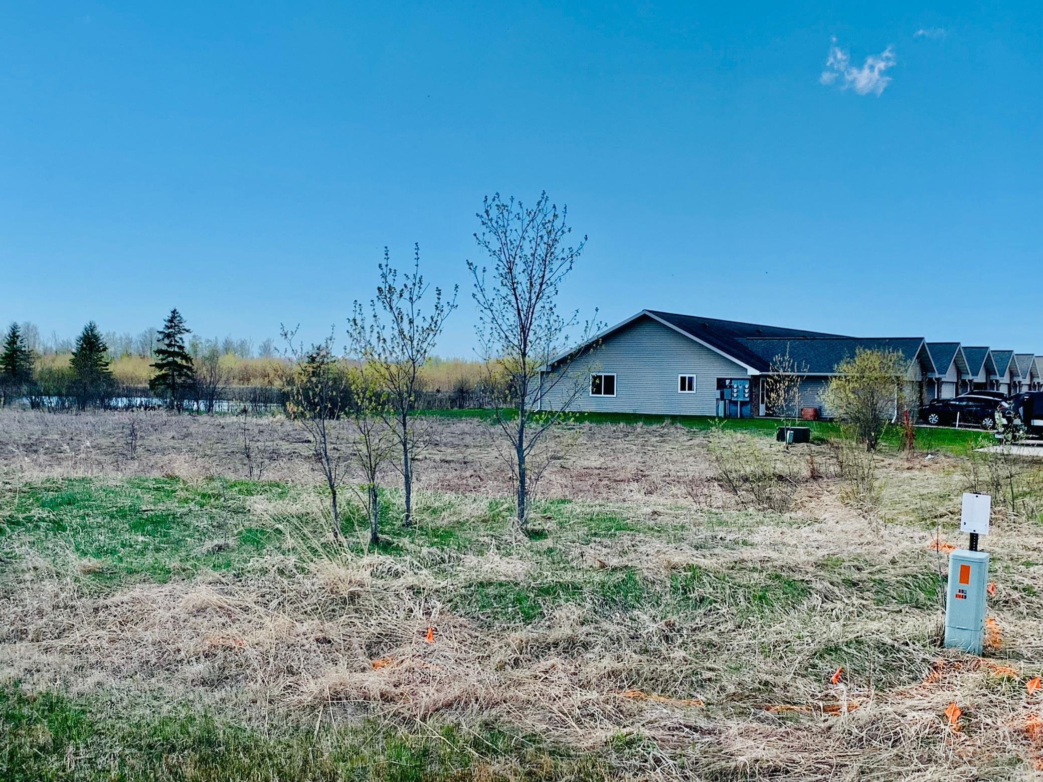 TBD Cr-1, Baudette, Minnesota image 4