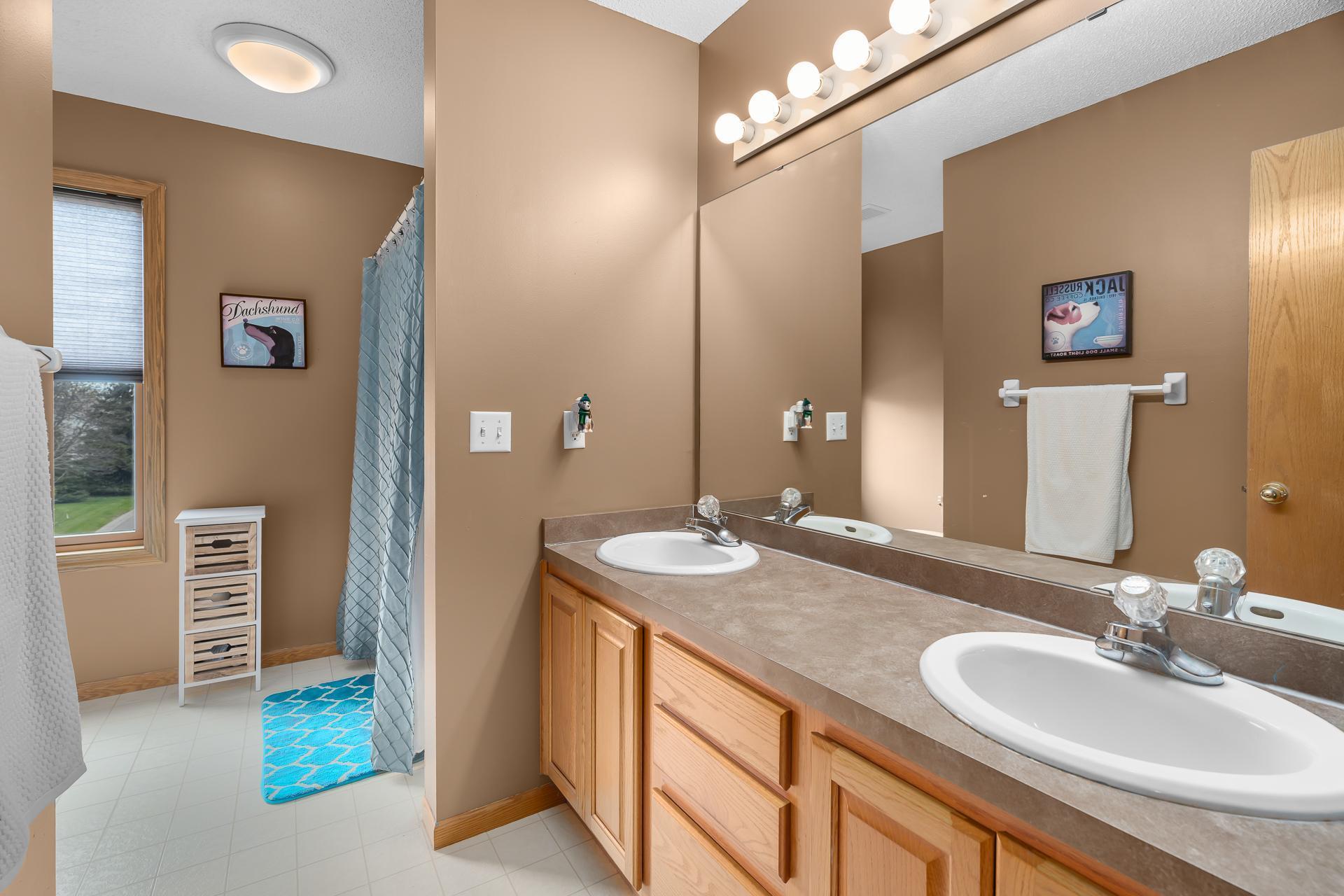 2982 Meadow Brook Alcove, Saint Paul, Minnesota image 47