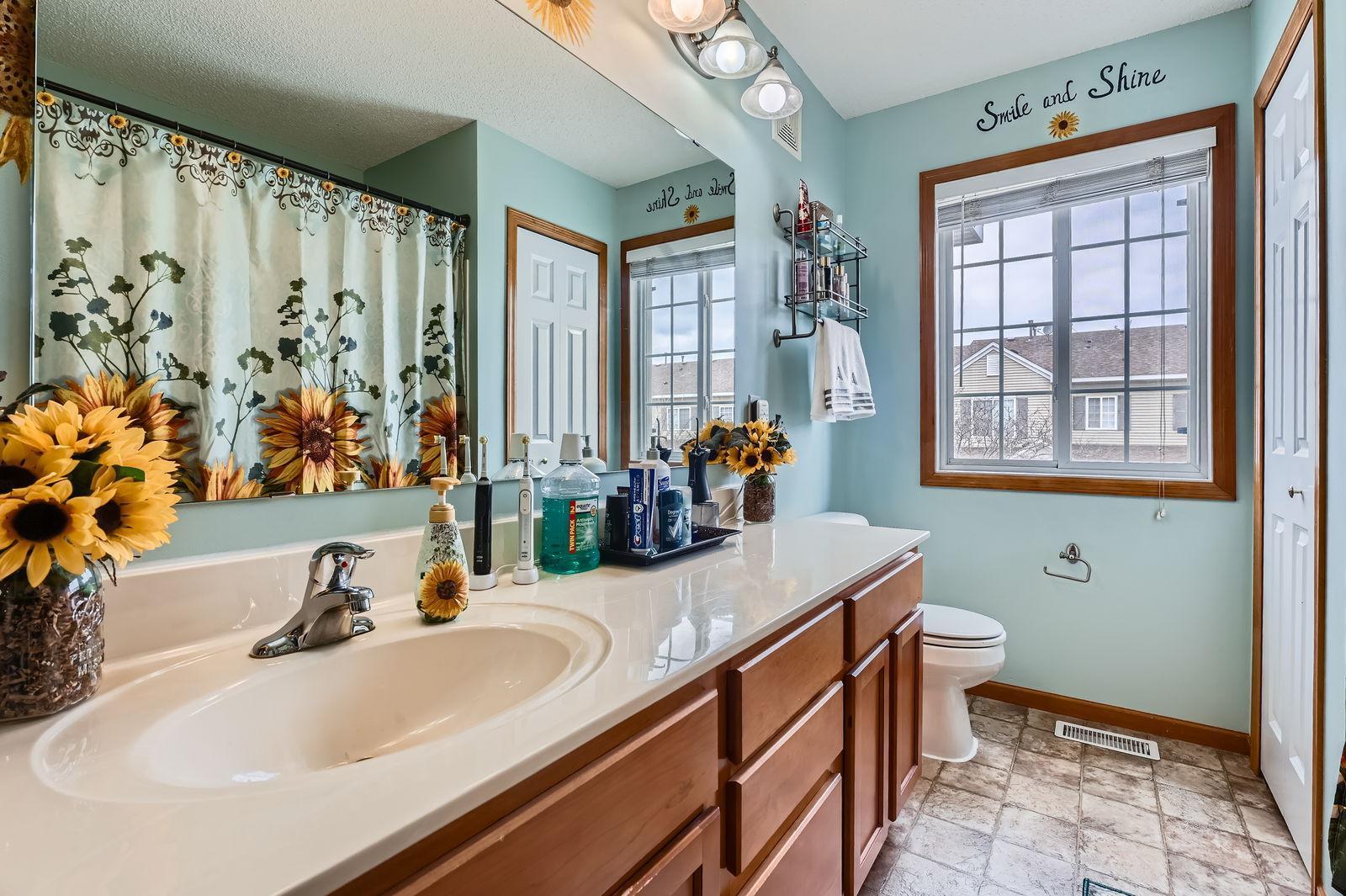 17177 Polk Court, Elk River, Minnesota image 17