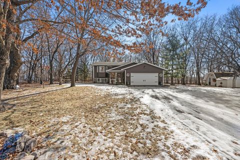 Homes For Sale - 9821 300th Avenue<br/> Sherburne County, Princeton, MN 55371