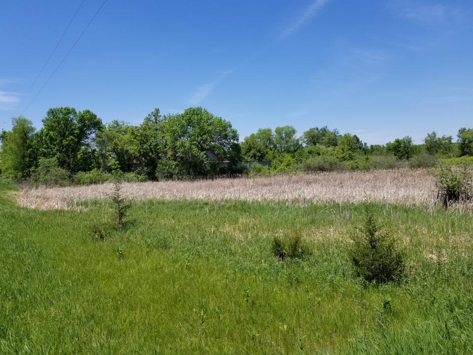 1120 County Road 46, Clearwater, Minnesota image 11