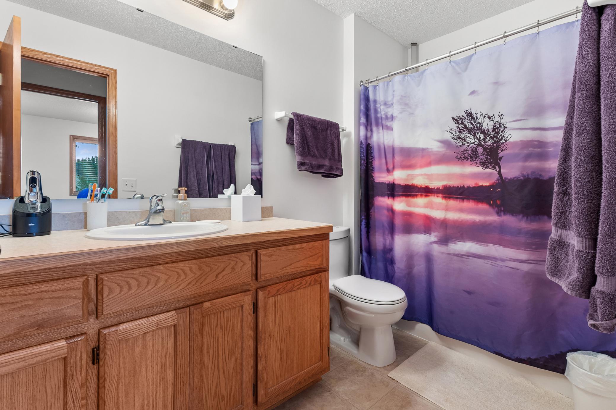 309 9th Street, Farmington, Minnesota image 15