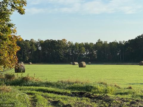 Vacant Land For Sale - XXX Highway 23<br/> Kanabec County, Mora, MN 55051