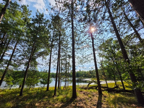 Vacant Land For Sale - XXX County Road H Road<br/> Danbury, WI 54830
