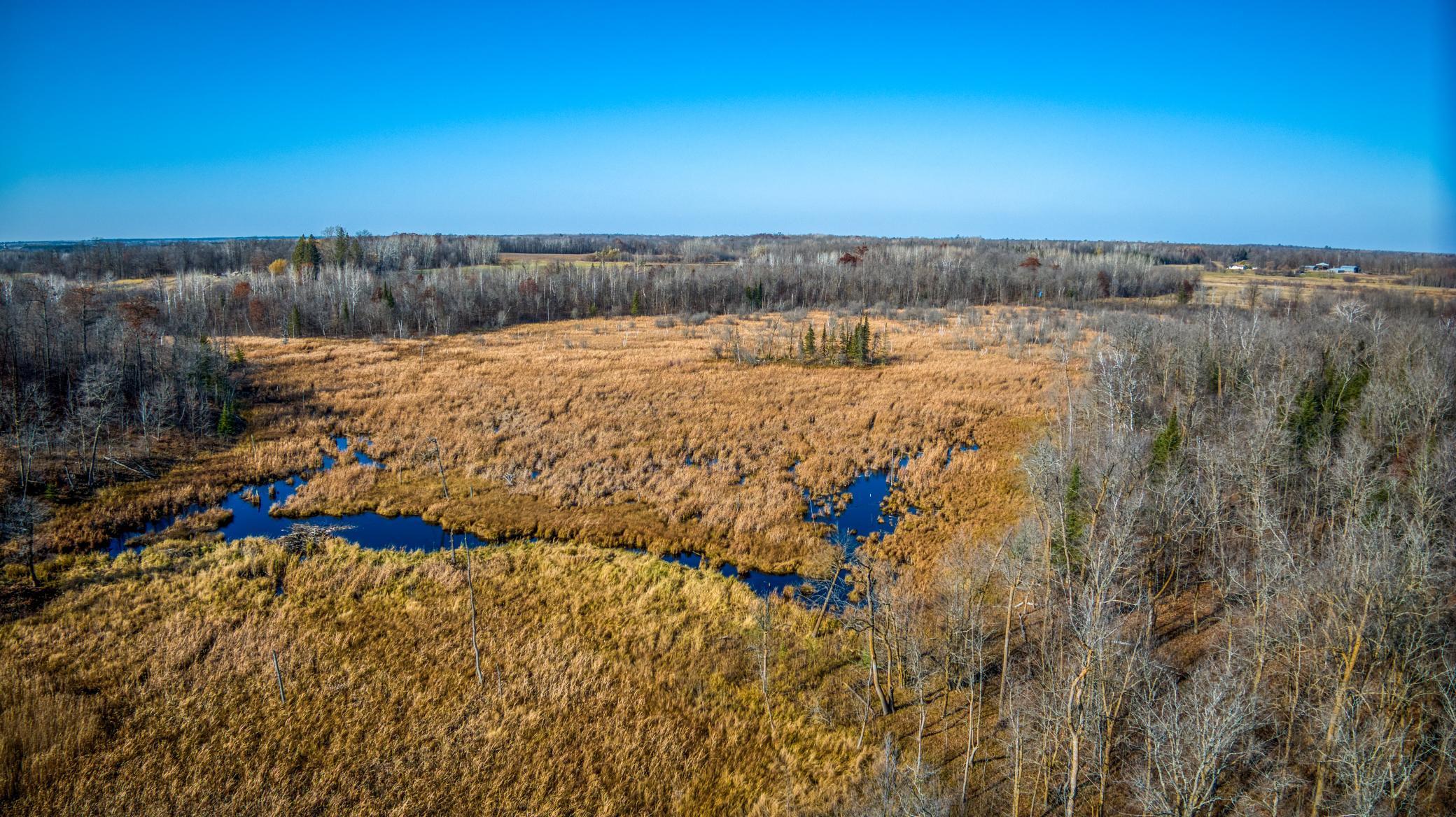 TBD Hwy 89, Puposky, Minnesota image 10