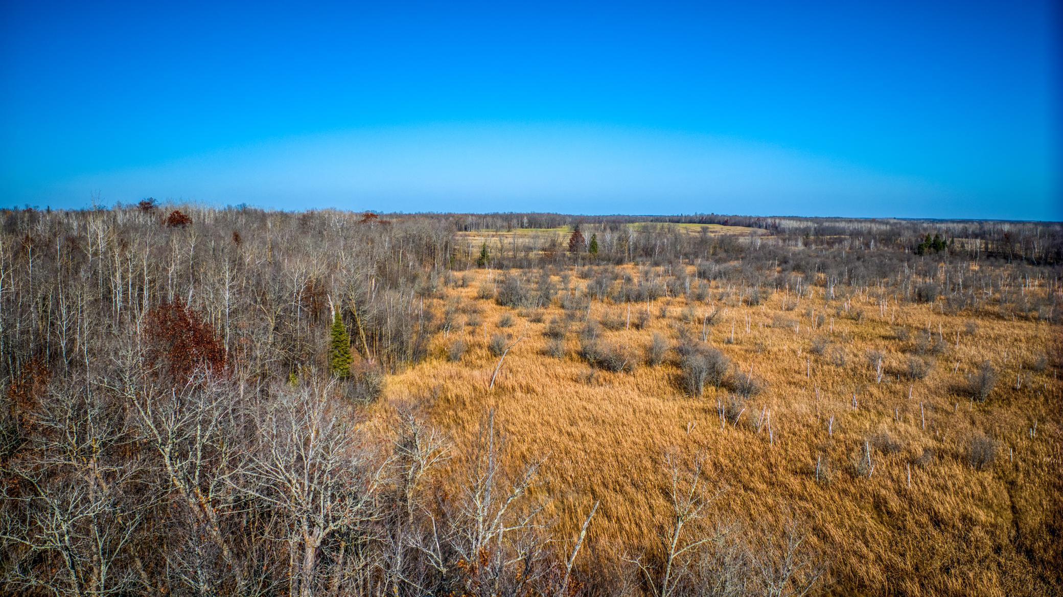 TBD Hwy 89, Puposky, Minnesota image 13