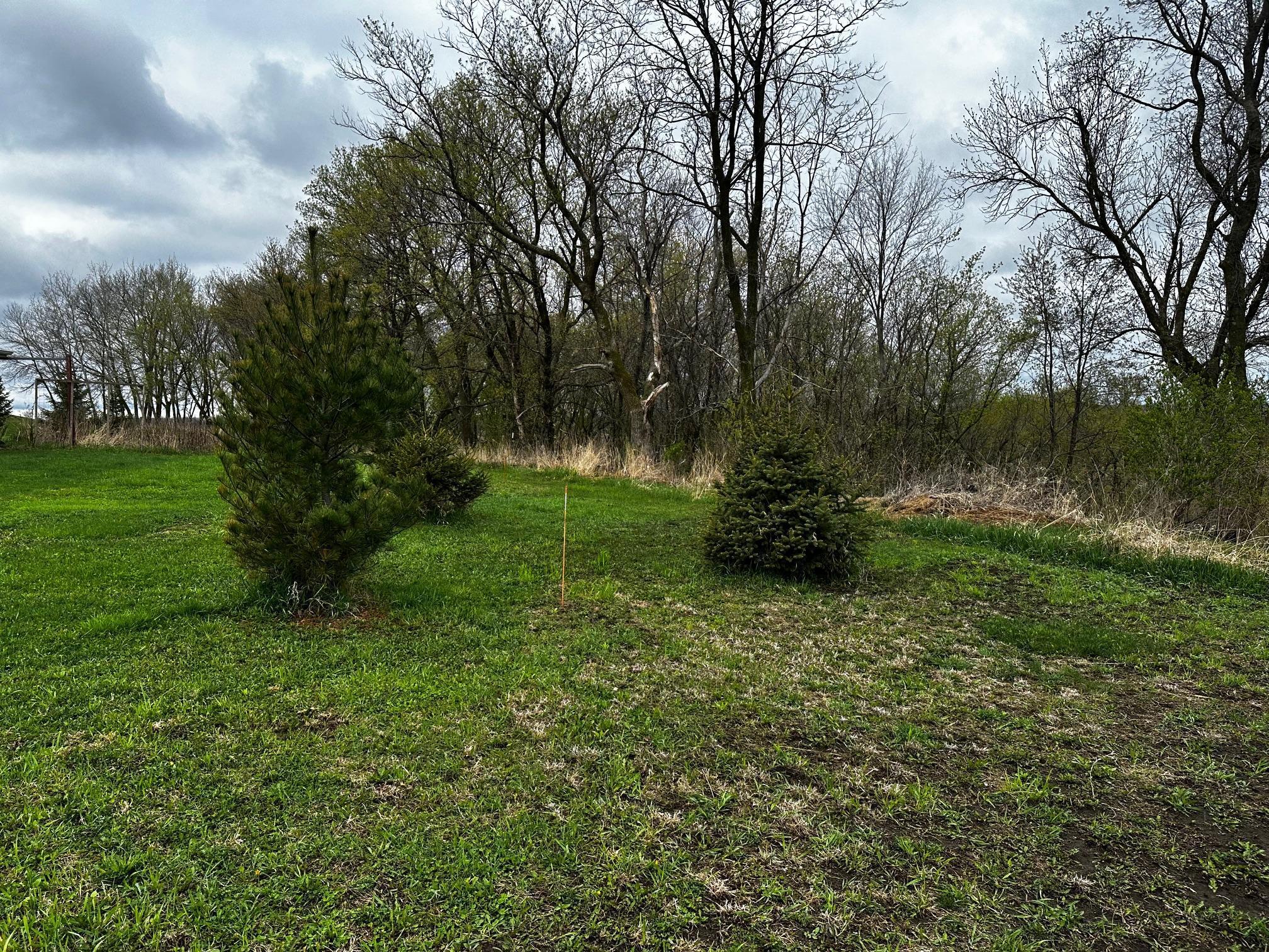 XXX Lake Avenue, Kilkenny, Minnesota image 7