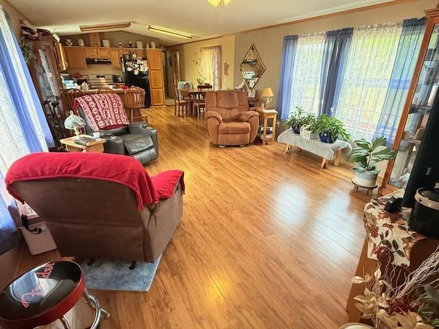 9765 Ironwood Lane, Bemidji, Minnesota image 5