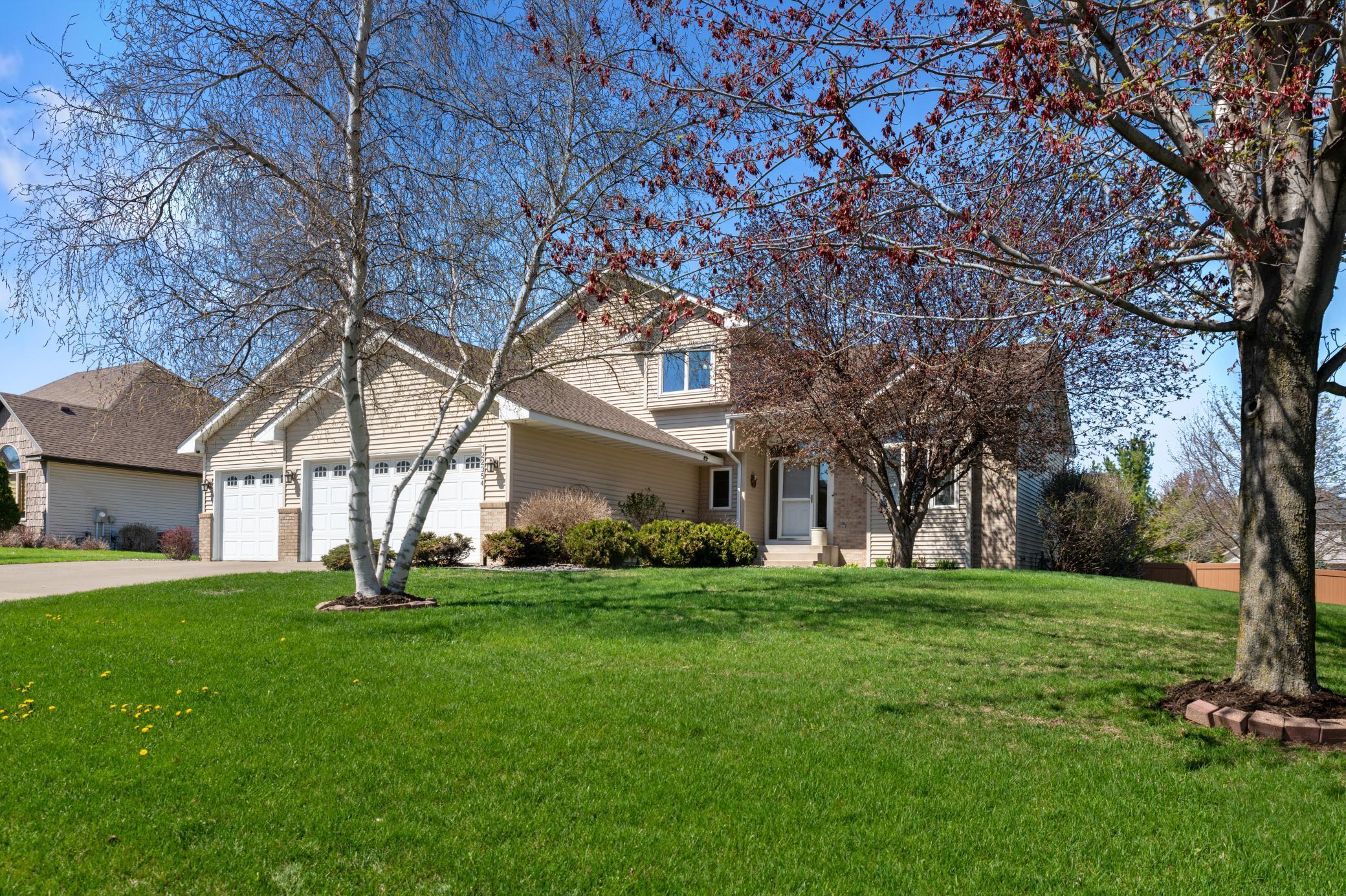 22354 Orchid Avenue, Rogers, Minnesota image 3