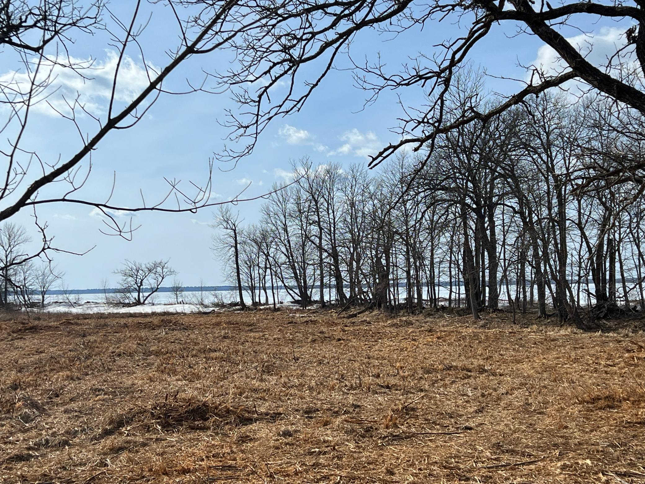 11095 Ottertail Point Drive, Cass Lake, Minnesota image 19