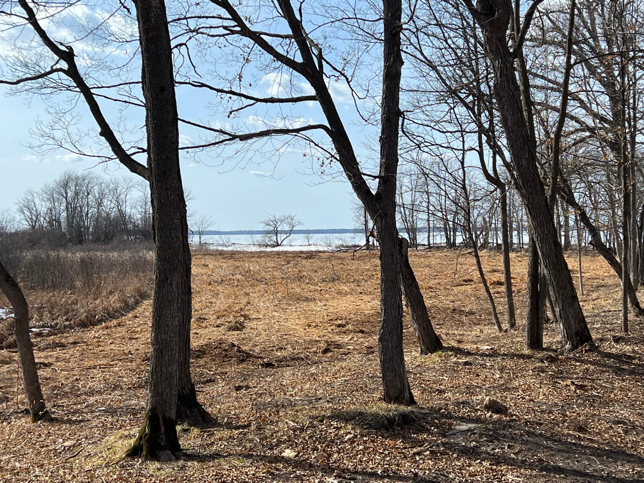 11095 Ottertail Point Drive, Cass Lake, Minnesota image 18