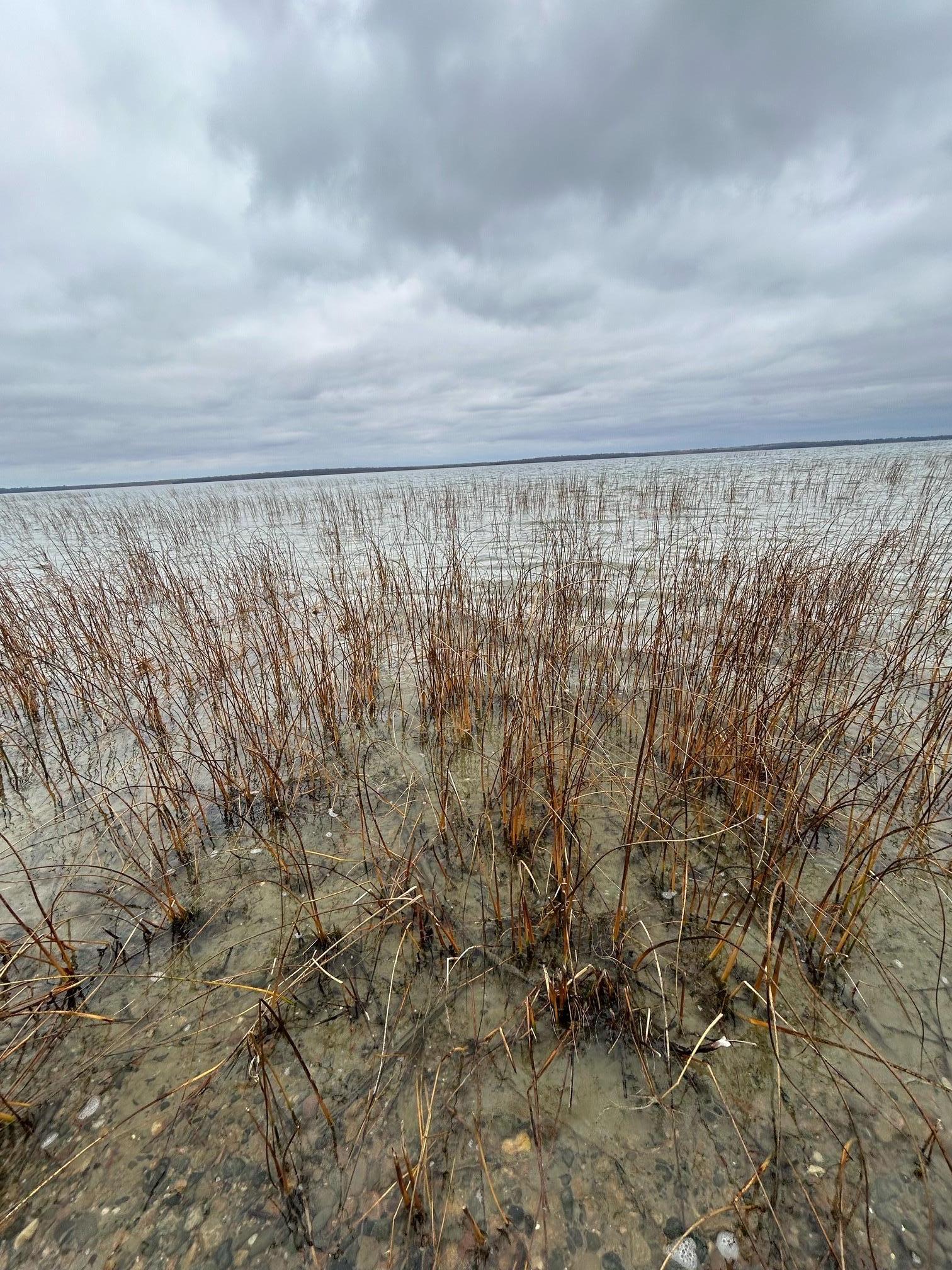11095 Ottertail Point Drive, Cass Lake, Minnesota image 15