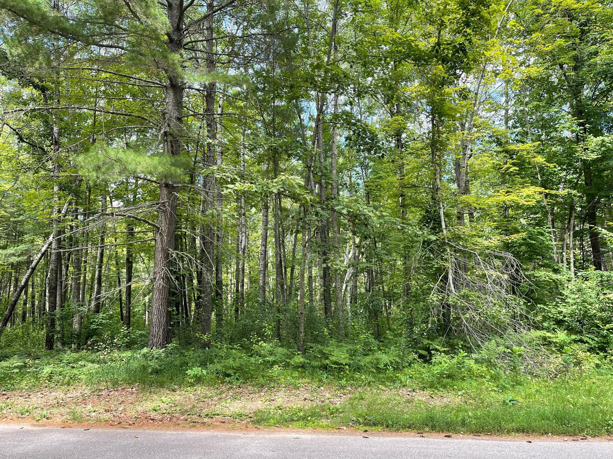 XXXX Father Foley Drive, Pine River, Minnesota image 3