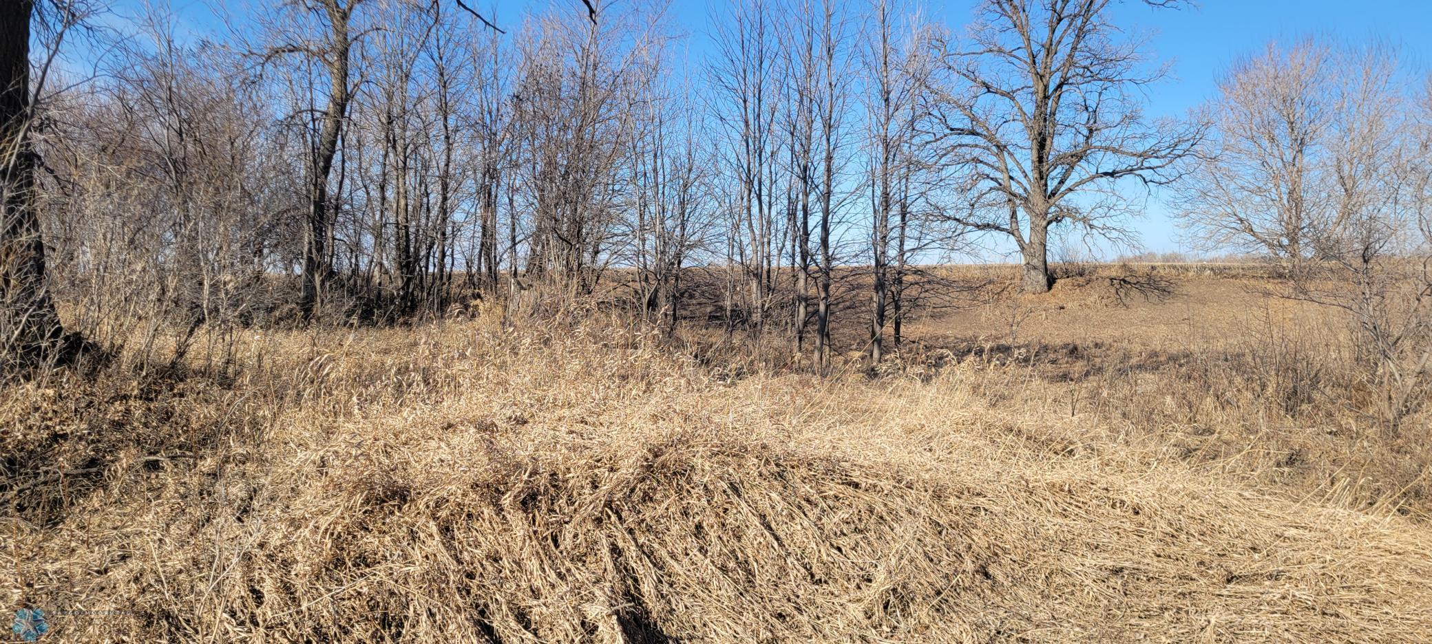 TBD 420 Avenue, East Grand Forks, Minnesota image 7