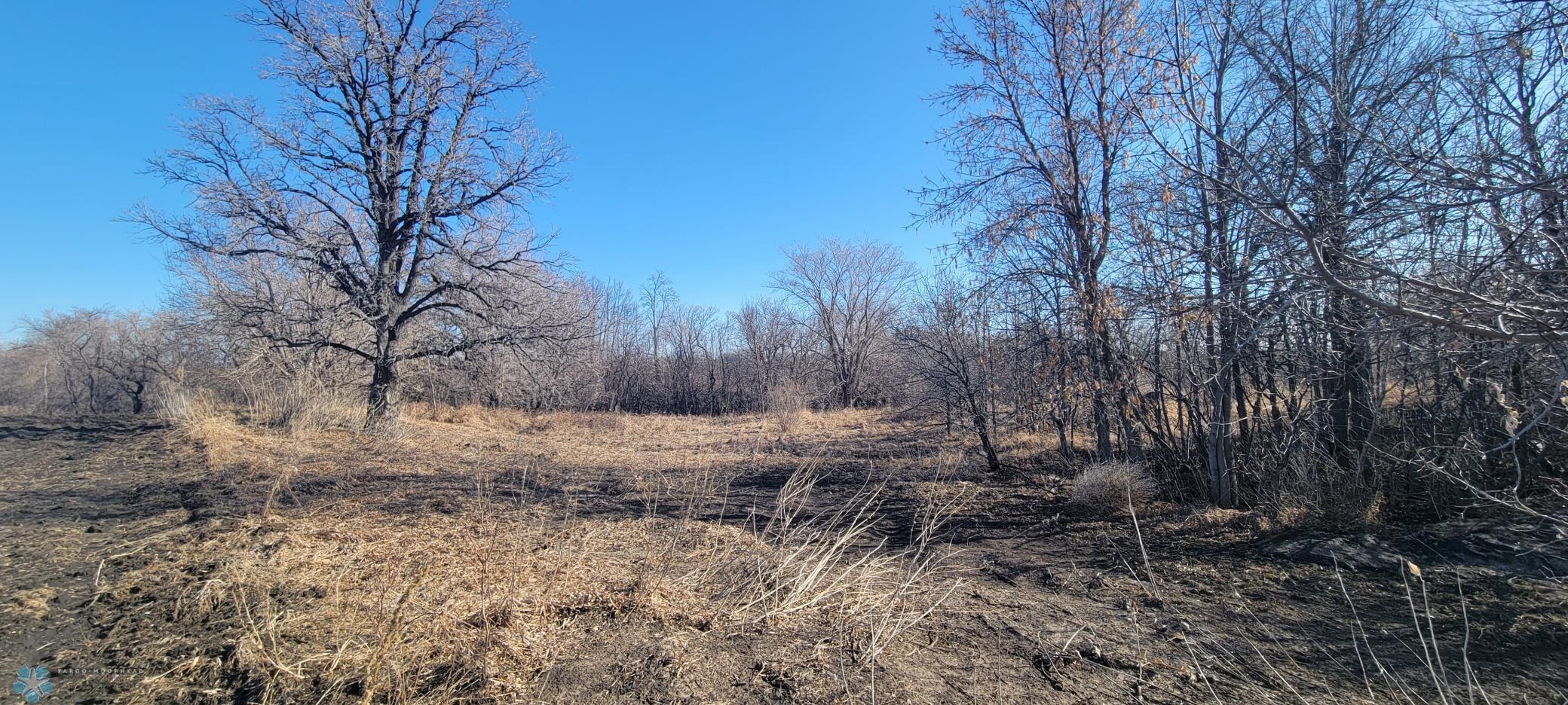 TBD 420 Avenue, East Grand Forks, Minnesota image 5