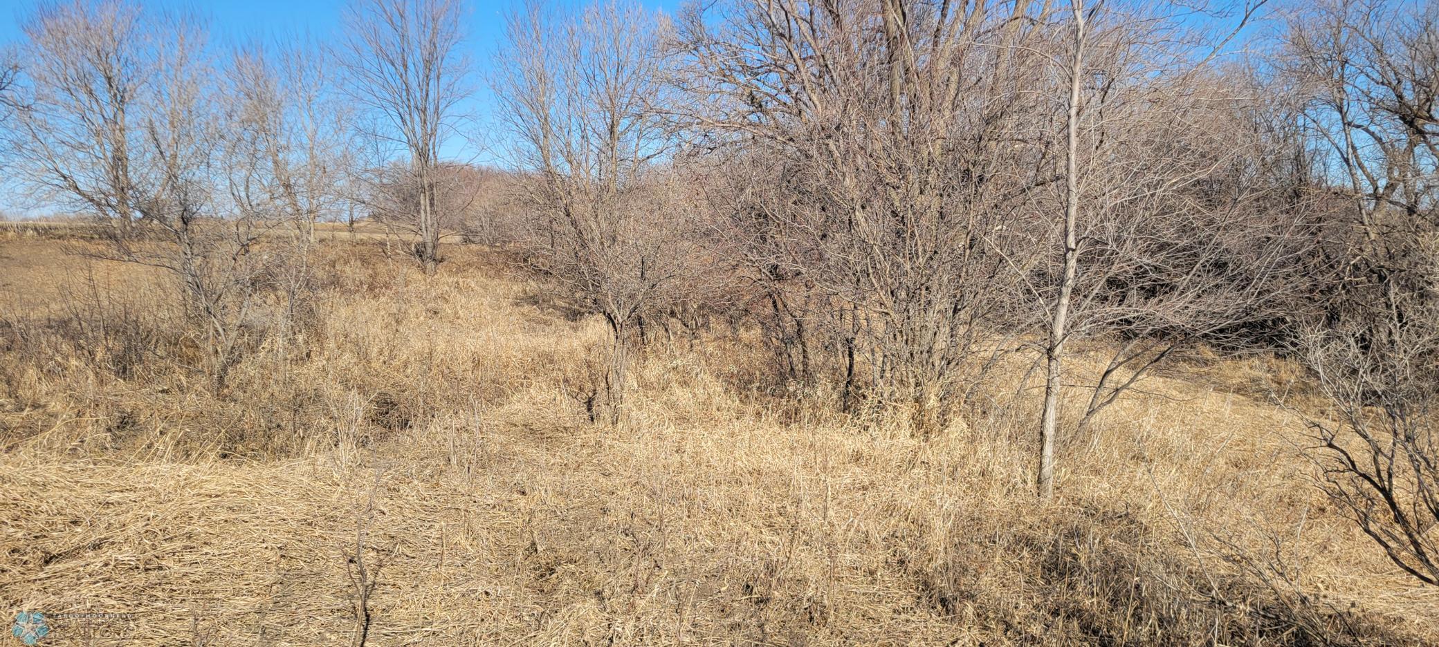 TBD 420 Avenue, East Grand Forks, Minnesota image 6