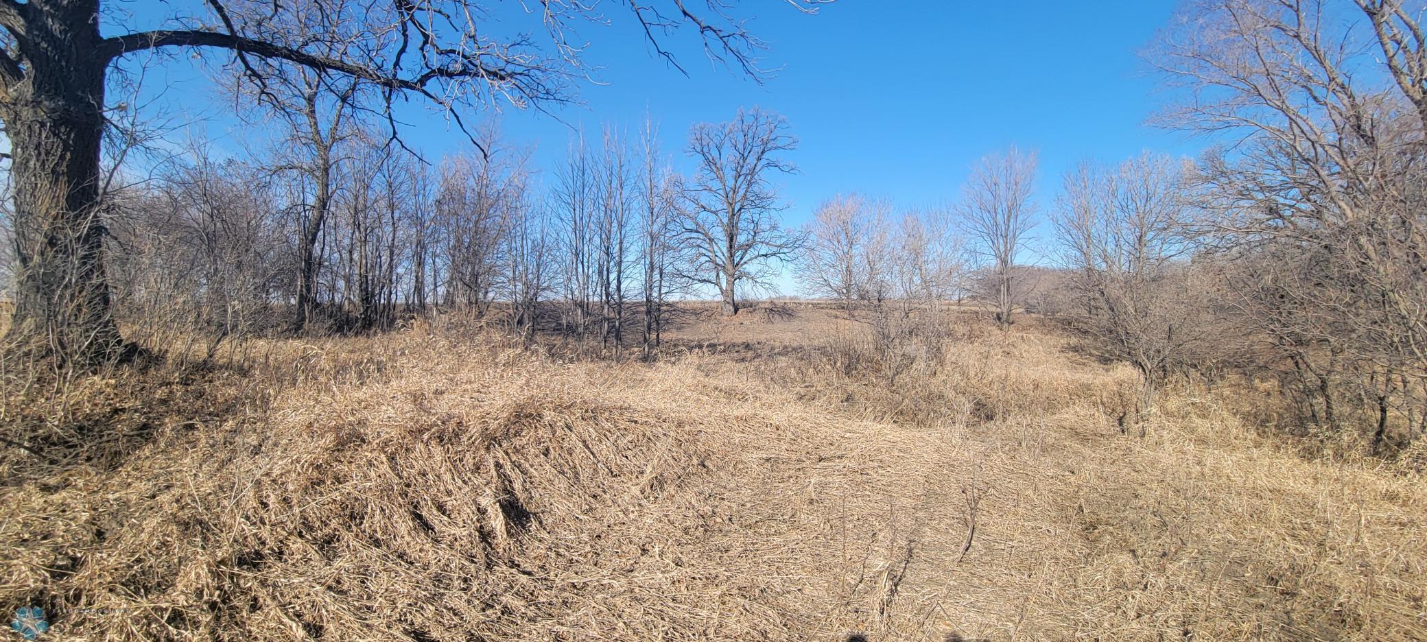 TBD 420 Avenue, East Grand Forks, Minnesota image 8