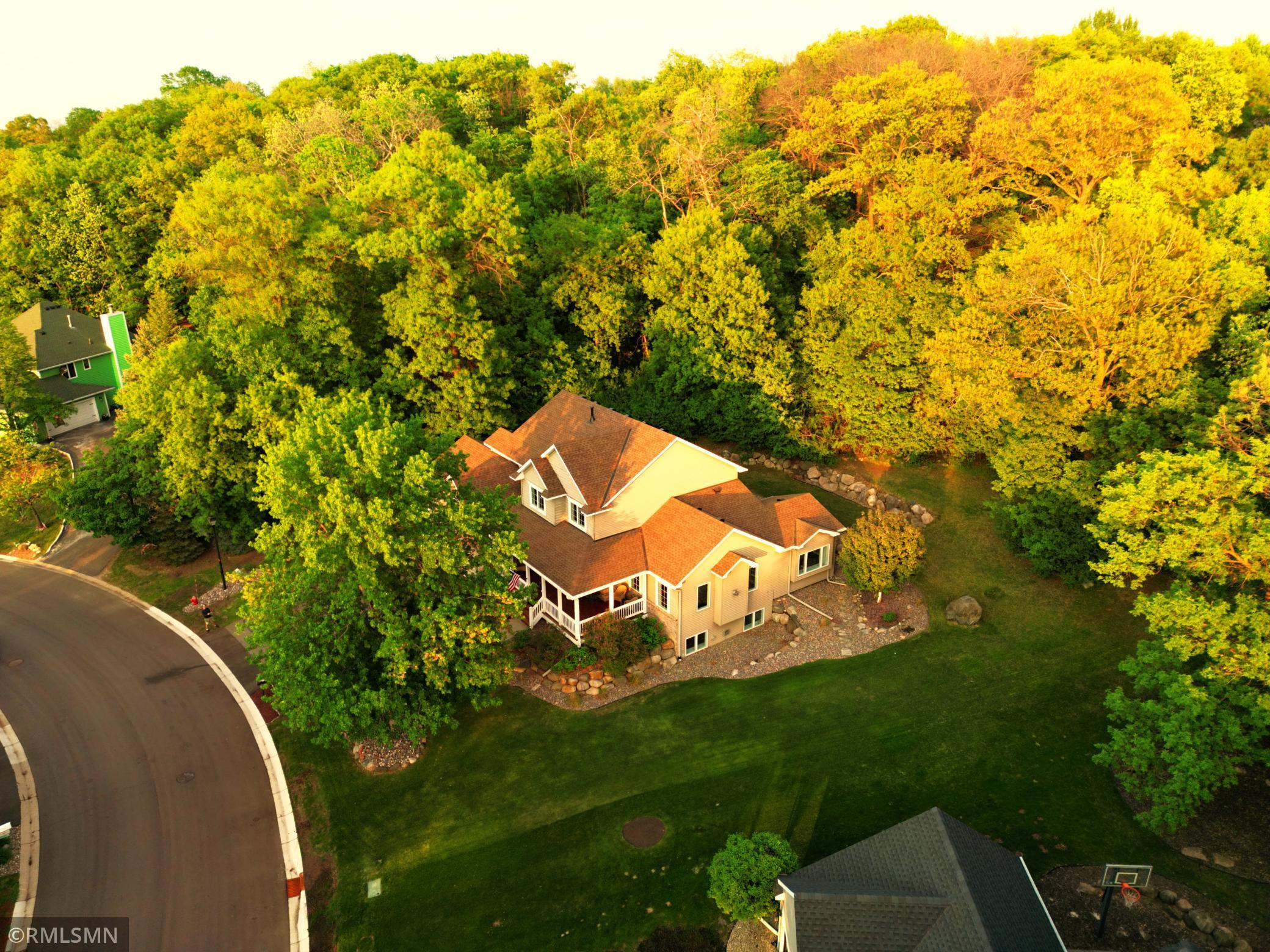 16576 Jackdaw Path, Lakeville, Minnesota image 2