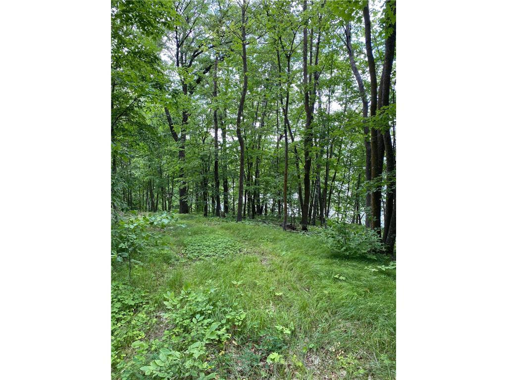 TBD Idas Road, Osage, Minnesota image 6