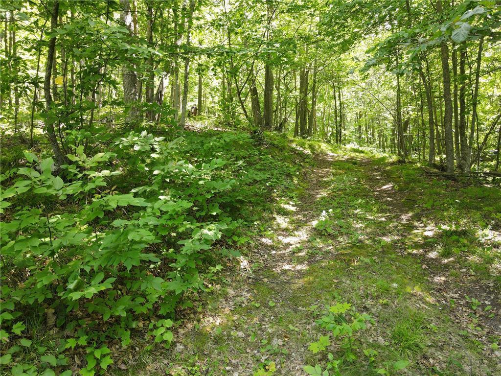TBD Idas Road, Osage, Minnesota image 3