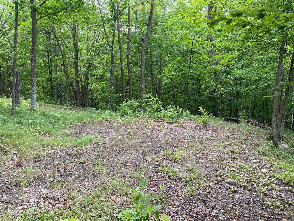 TBD Idas Road, Osage, Minnesota image 7