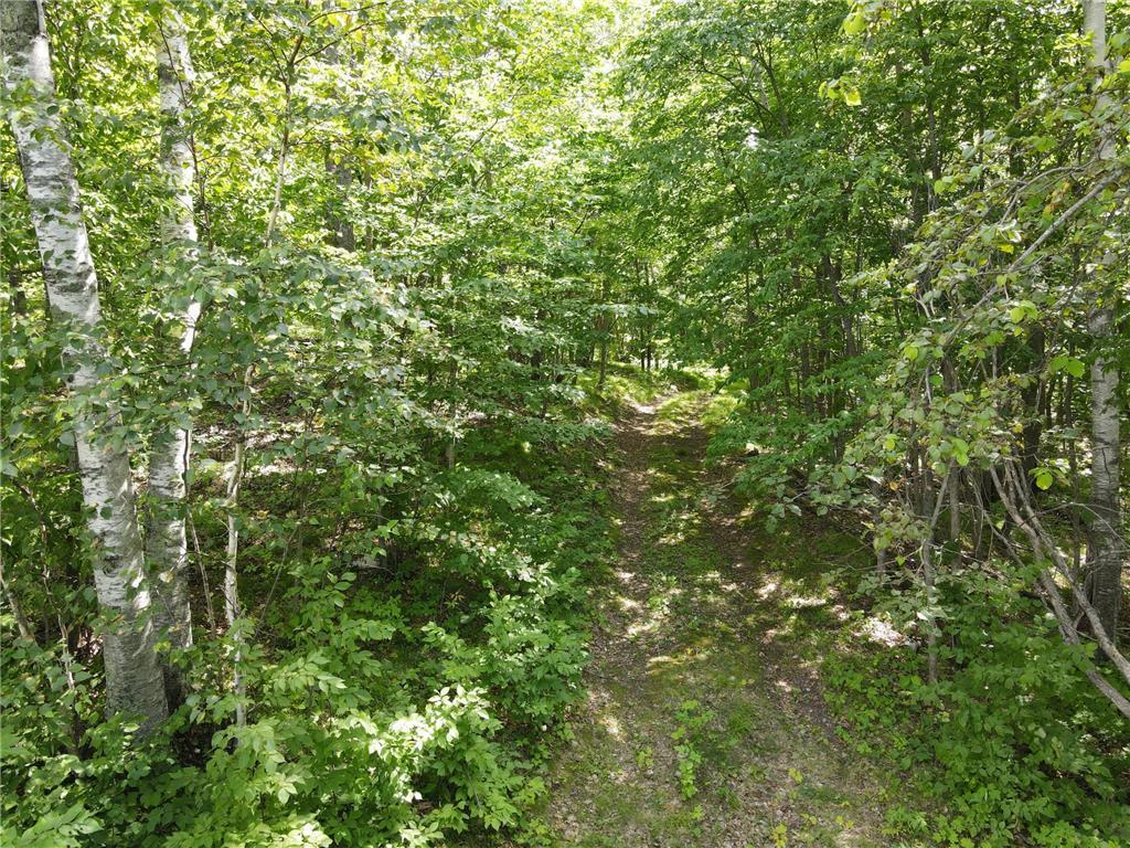 TBD Idas Road, Osage, Minnesota image 16