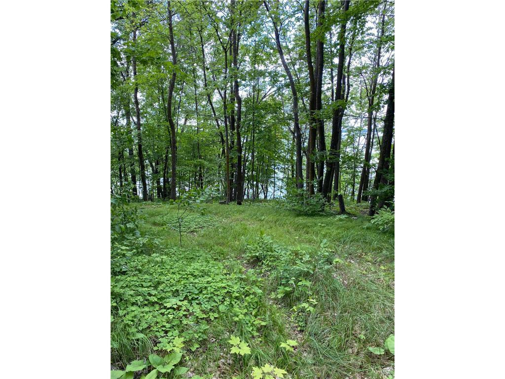 TBD Idas Road, Osage, Minnesota image 4