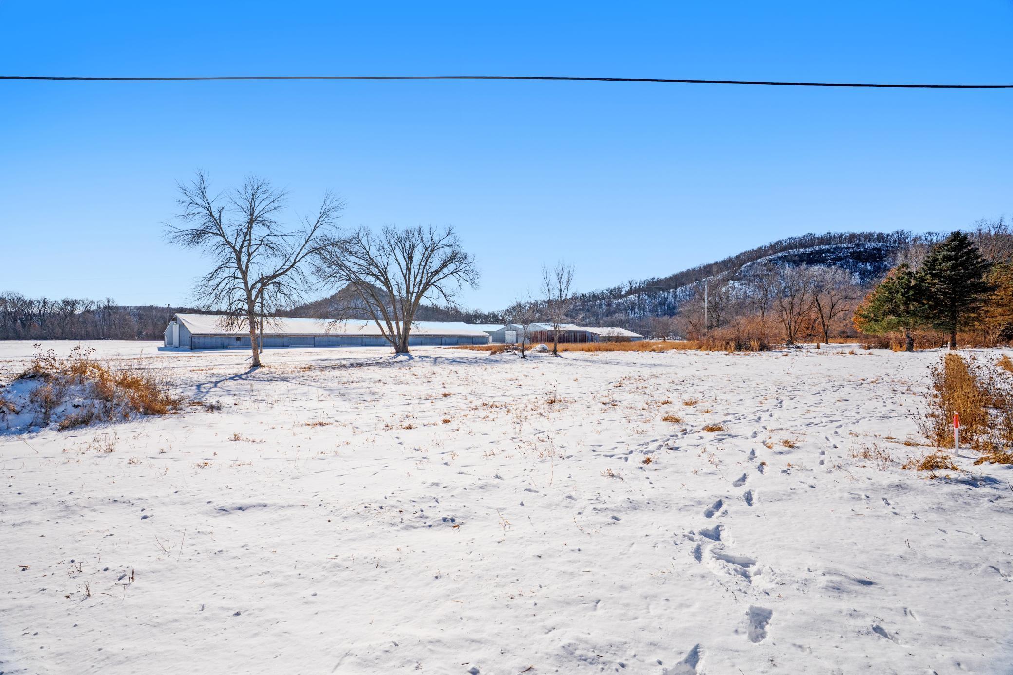 TBD Territorial Road, Lake City, Minnesota image 3